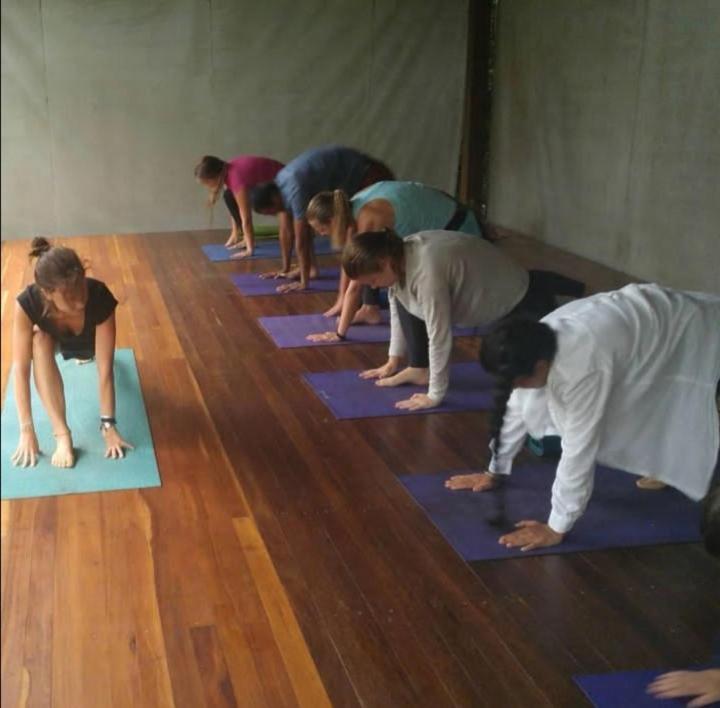Sea And Forest Yoga Albergue Trindade (Rio de Janeiro)