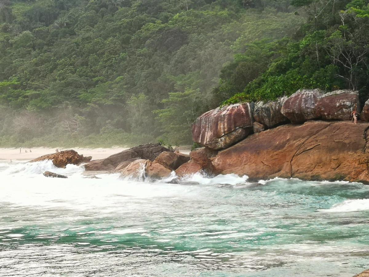 Sea And Forest Yoga *